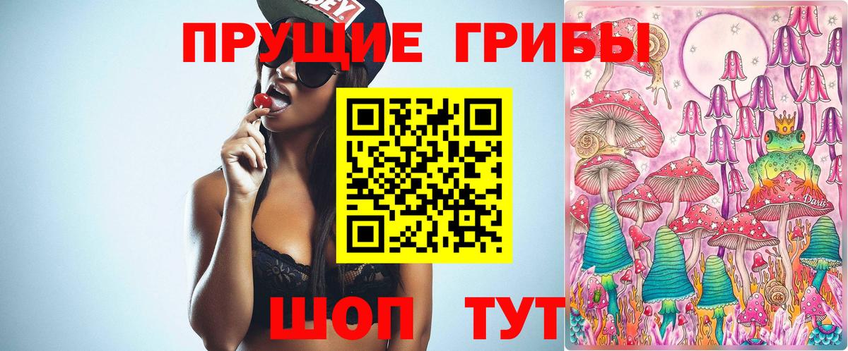 Азнакаево  Галлюциногенные грибы Magic Shrooms  Вход с VPN  даркнет сайт  Галлюциногенные грибы MAGIC MUSHROOMS 